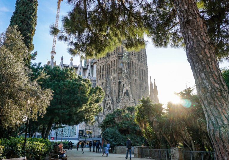 Barcelona acoge una nueva cita del World Padel Tour