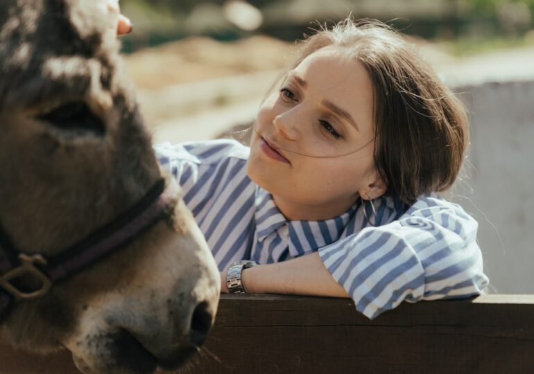 La asnoterapia, un método natural contra el estrés del personal sanitario en España