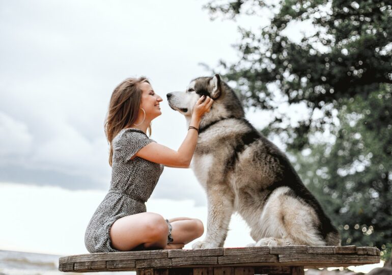 ¿Sabes lo que le pasa a tu perro cuando le dices te quiero?