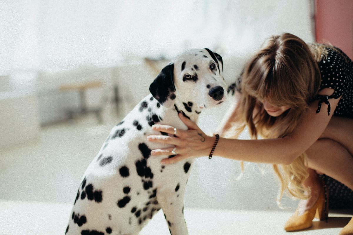 Qué beneficios terapéuticos nos aporta tener animales de compañía