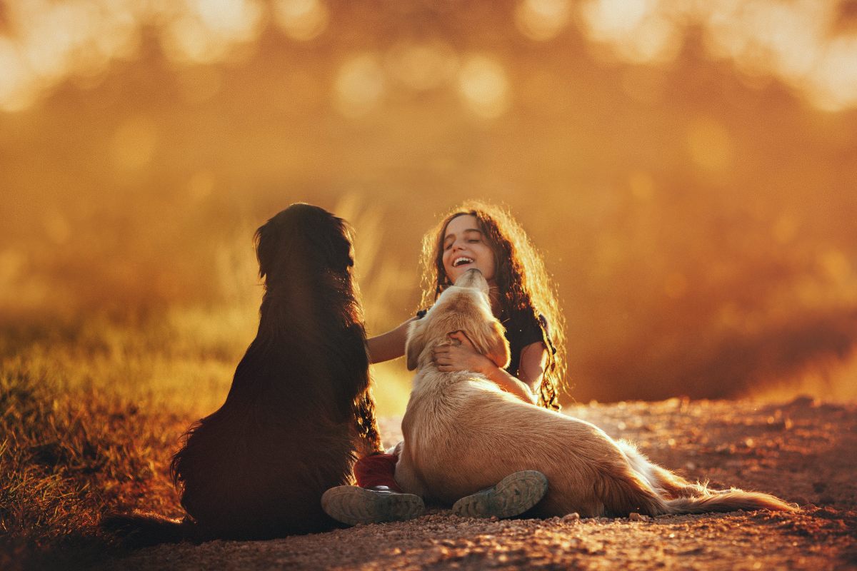 animales felicidad