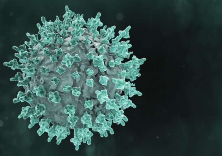 Alicante suma 4 fallecidos por coronavirus y 550 nuevos positivos