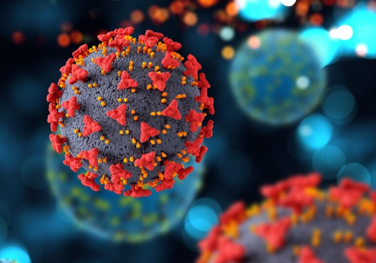 La cepa británica del coronavirus llega a Murcia