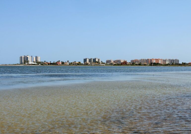 Alerta de Marchámalo tras aparecer bolsas de Anoxia en el Mar Menor