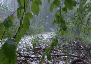 el mal temporal causa estragos al campo