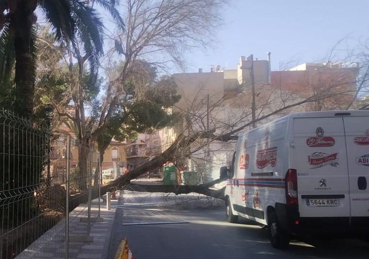 Viento causa derrumbes, caída de árboles y problemas en carreteras en la Región de Murcia