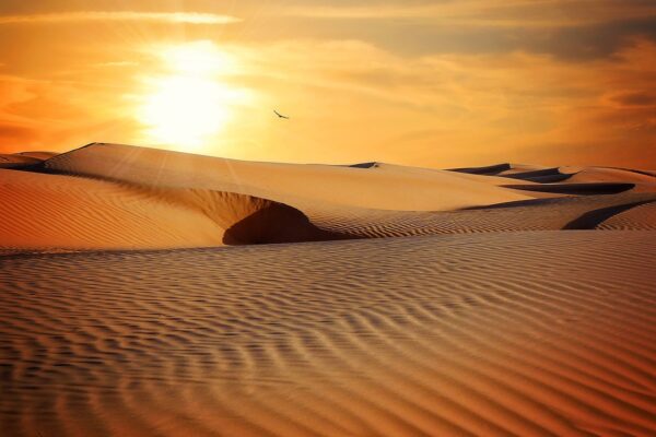 agua en el desierto