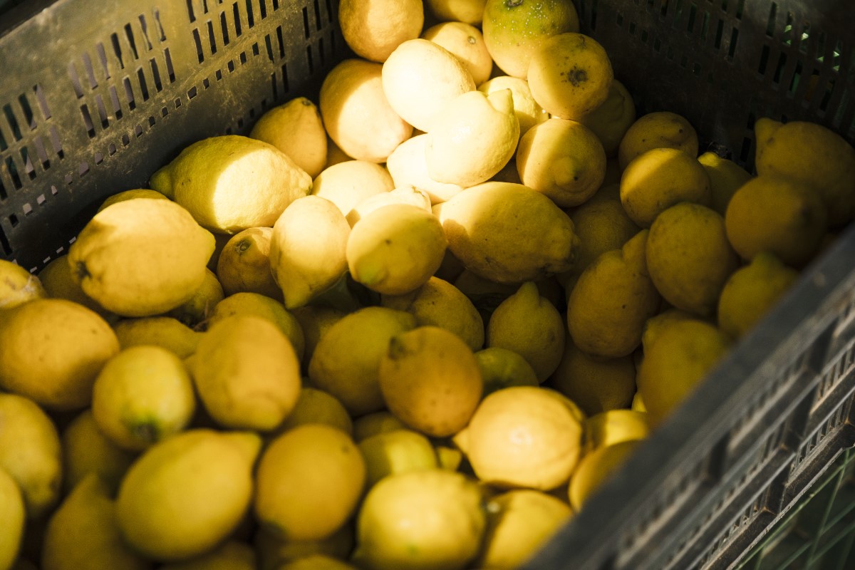 el problema de los limones podridos