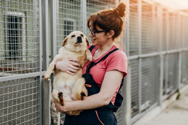 5 mitos sobre la adopción de mascotas que todos deberíamos desmontar