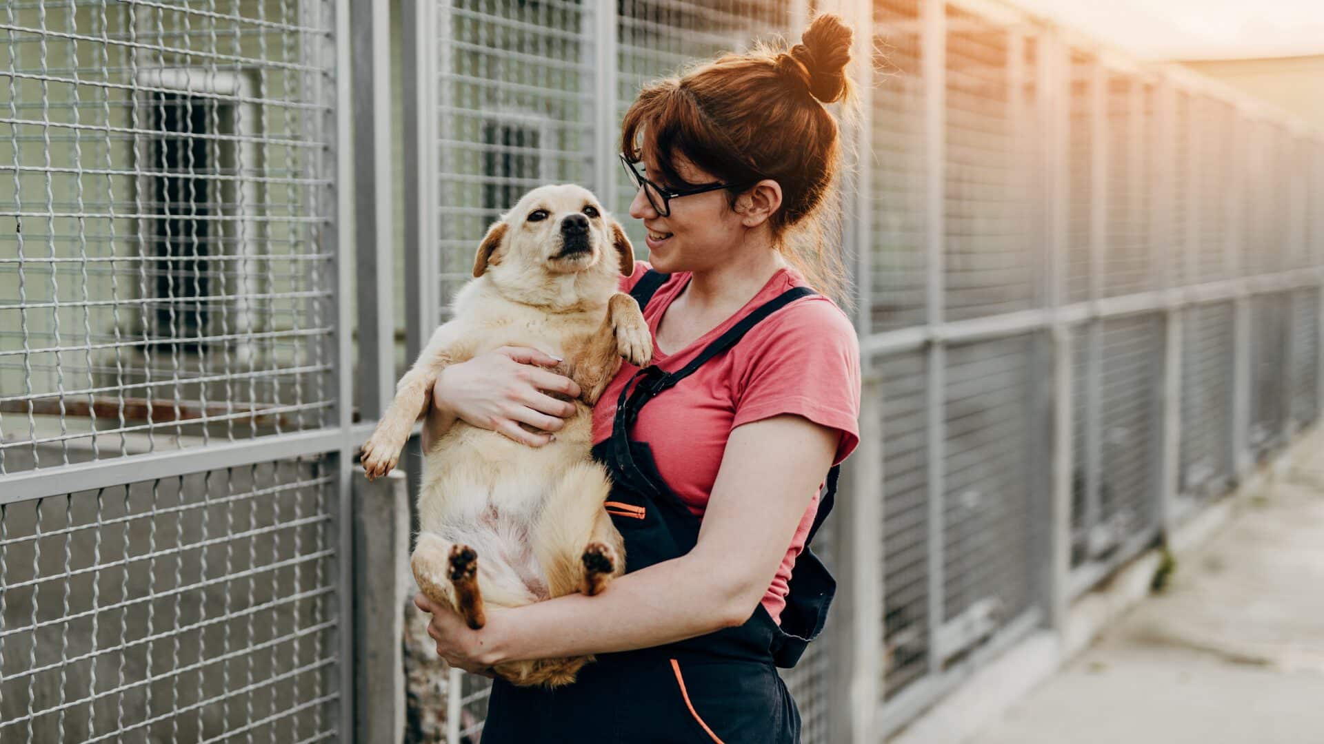 5 mitos sobre la adopción de mascotas que todos deberíamos desmontar