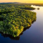 amazonia 3 Nuevo descubrimiento en la Amazonía: una especie con pelaje azul y ojos amarillos