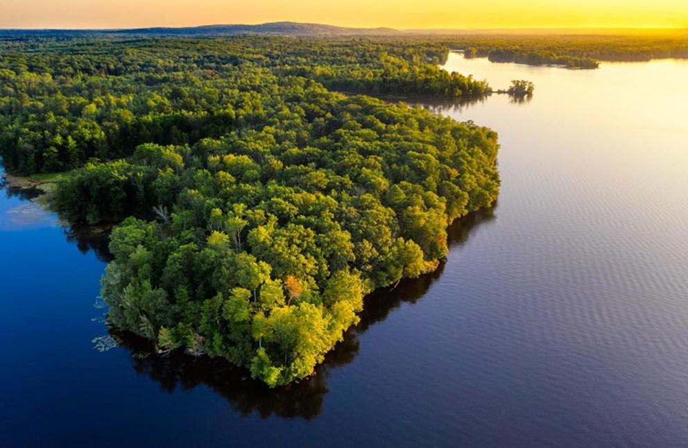 amazonia 3 Nuevo descubrimiento en la Amazonía: una especie con pelaje azul y ojos amarillos
